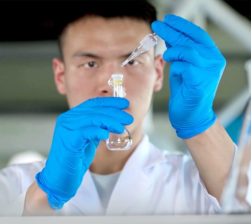 科学研究チーム