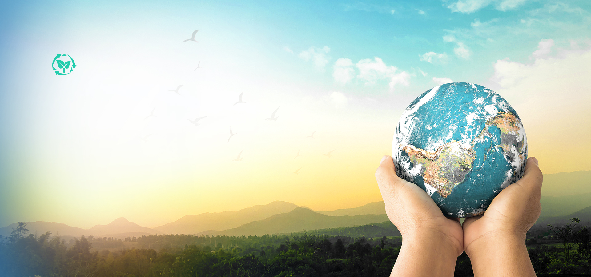 TOWARDS ACHIEVING  CARBON NEUTRALITY