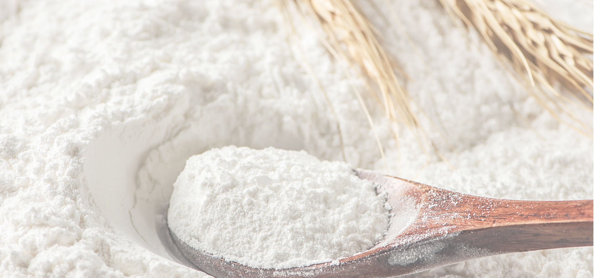 デンプンの改質